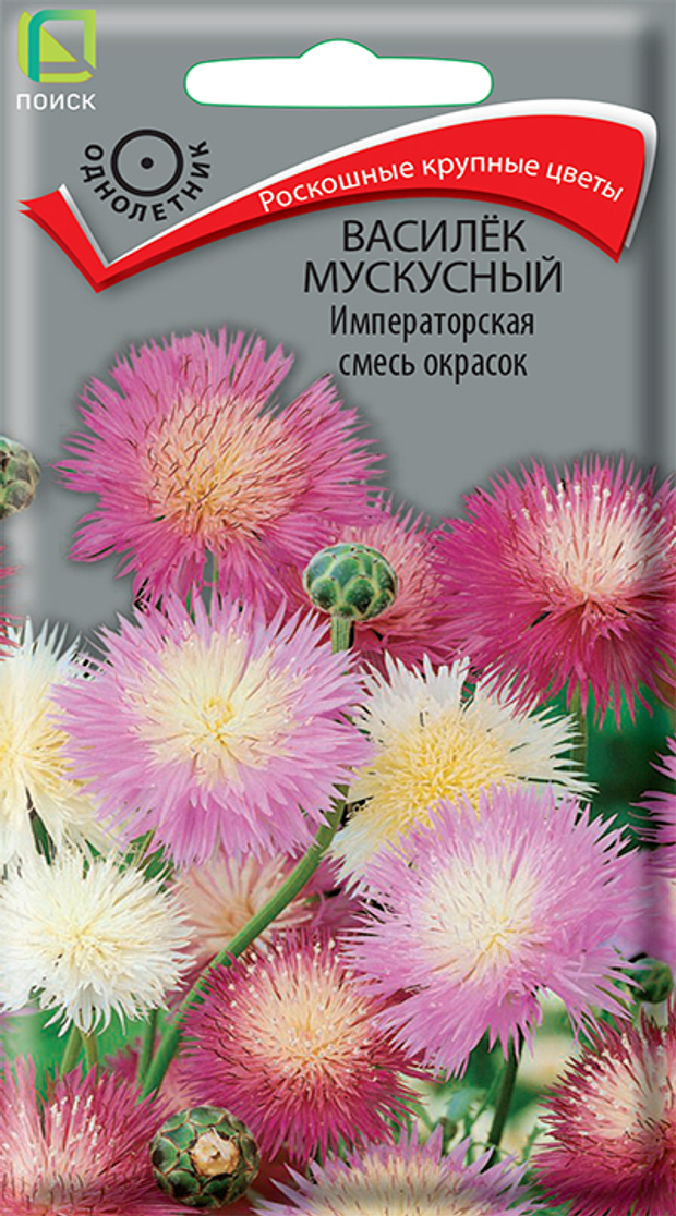 Василек мускусный Императорская смесь окрасок