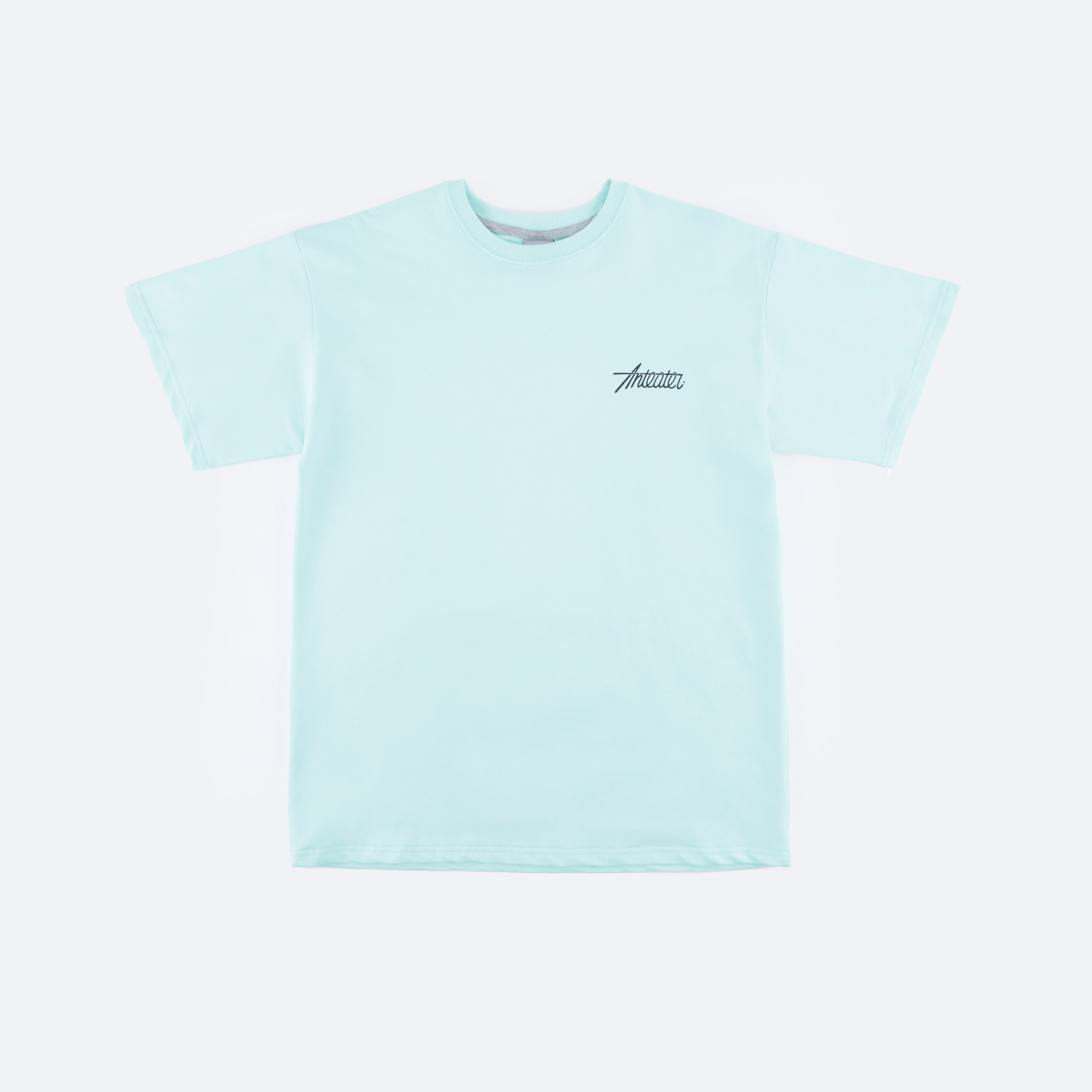 Футболка Anteater Phat Tee 499 (mint) артикул: - купить в магазине Дайс