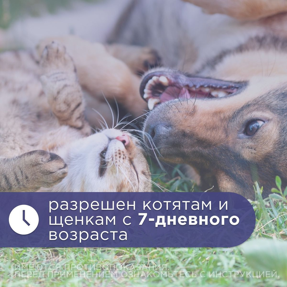 Капли глазные для профилактики и лечения болезней глаз АВЗ Ципровет для собак и кошек, 10 мл