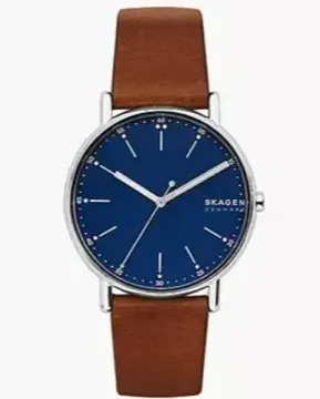 Мужские часы Skagen SKW6355