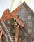 Сумка Louis Vuitton Neonoe MM (коричневая фурнитура)