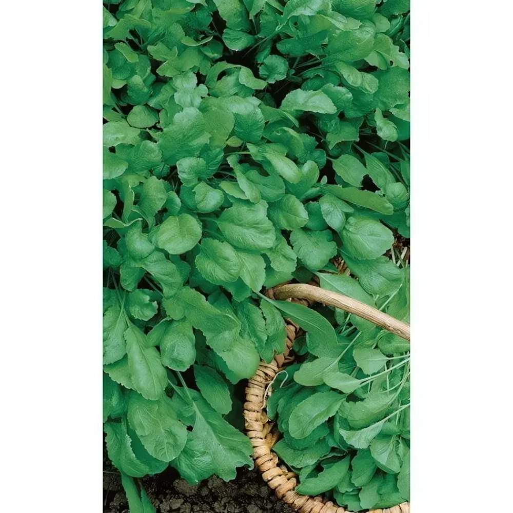 Семена Крест-салат Дукат 0,8гр (УД)