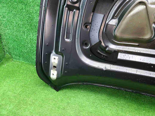 Капот Voyah Dream (2021-н.в.)