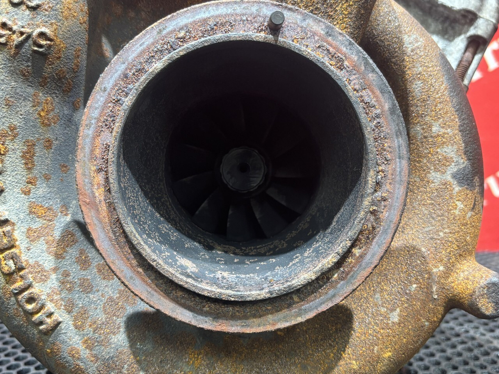 Турбина 2019г.