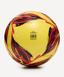 Мяч футбольный Triumph Elite Winter №5