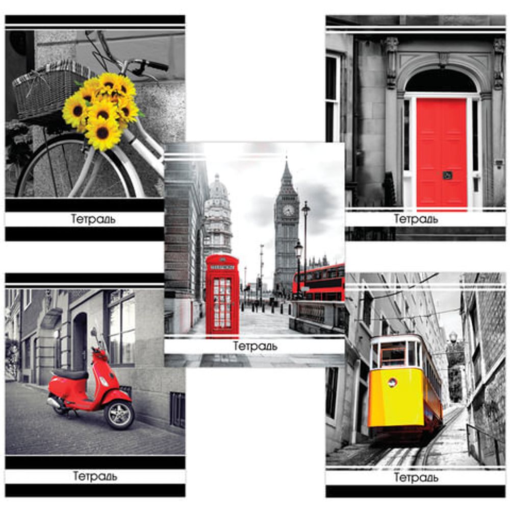 Тетрадь А5, 48 л., BRAUBERG, клетка, обложка картон, АКЦЕНТ, 403032, 5шт