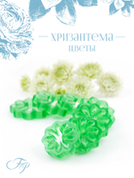 Каттеры Хризантема цветы