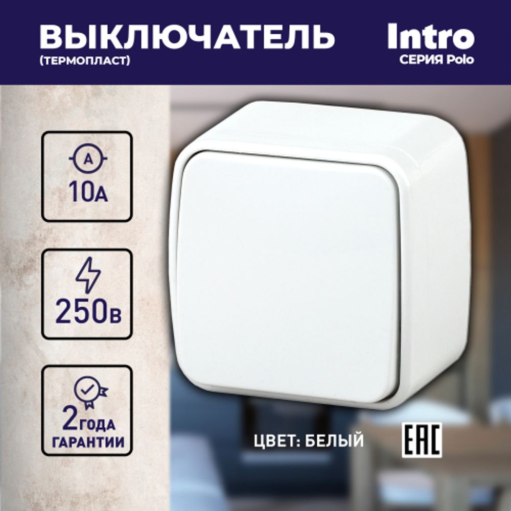 3-101-01 Intro Выключатель, 10А-250В, IP20, ОУ, Polo, белый