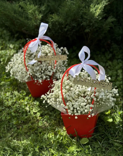 День знаний №14 Сумочка с белой гипсофилой