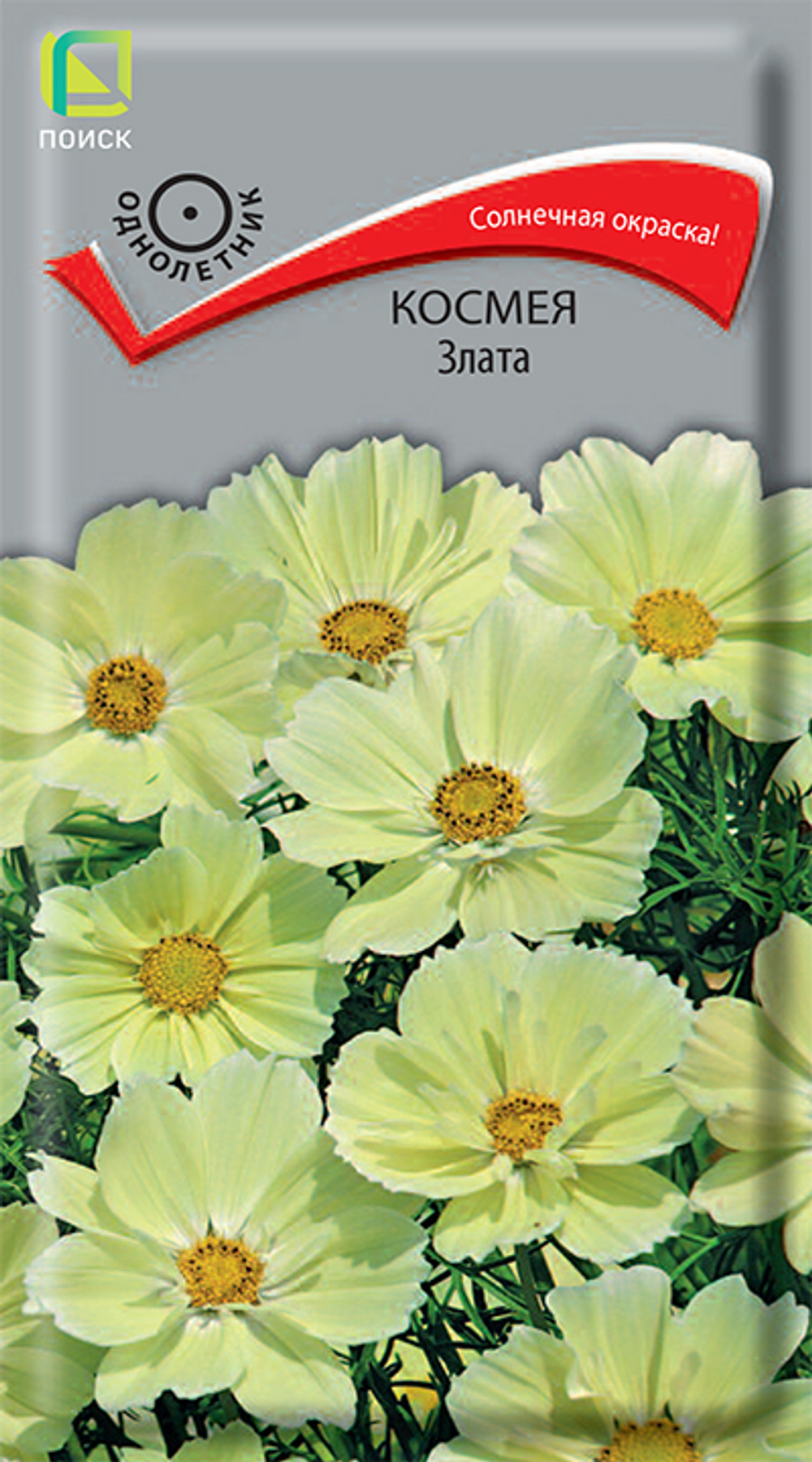 Космея Злата