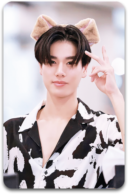 Карта #0529 / Phuwin Tangsakyuen