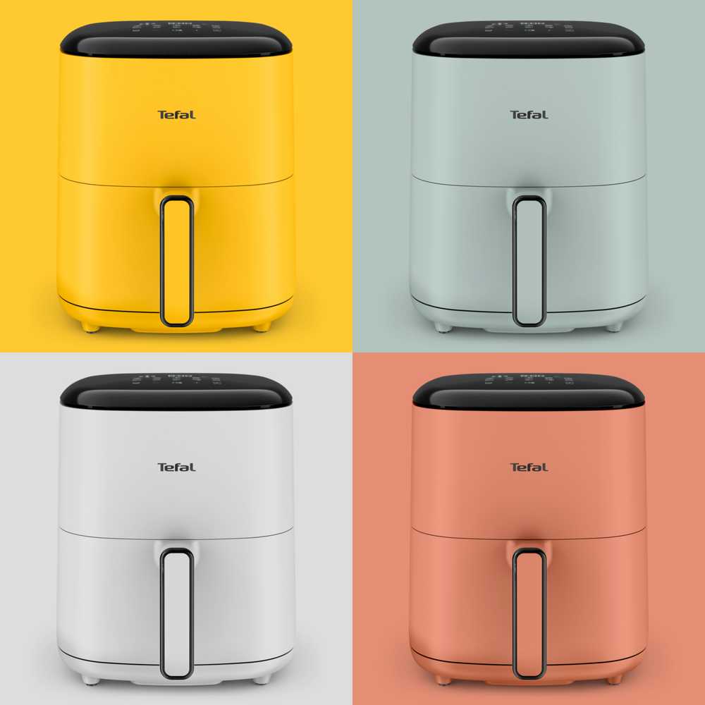 Аэрогриль Tefal Easy Fry Pop Eucalyptus EY2454E0