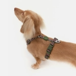 Анатомическая шлейка Jungle