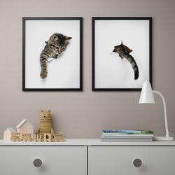 IKEA BILD  (ИКЕА БИЛД)  -  Плакат, внешний вид кошки, 40x50 см