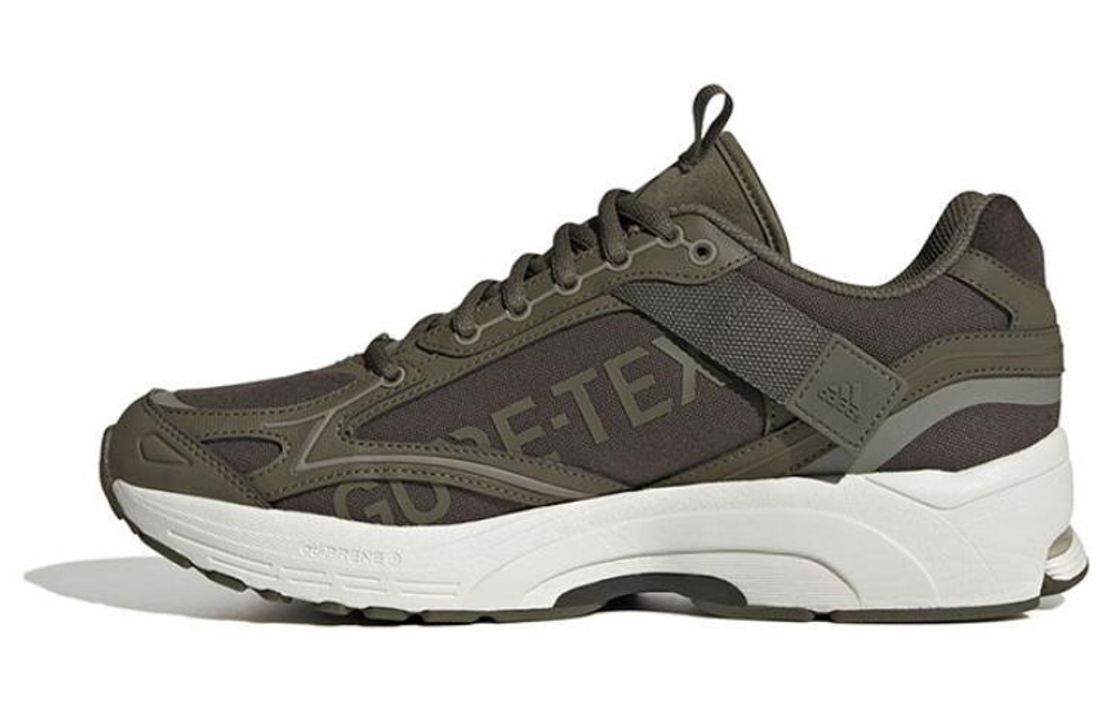 Кроссовки Adidas Spiritain 2000 Gtx
