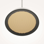 Подвесной светильник Maytoni MOD041PL-L15WG3K