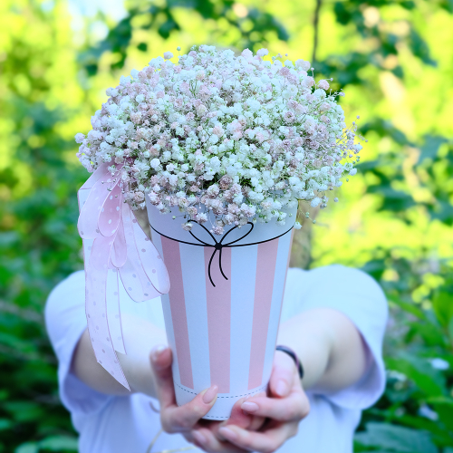 Купить Композиция-комплимент с гипсофилой