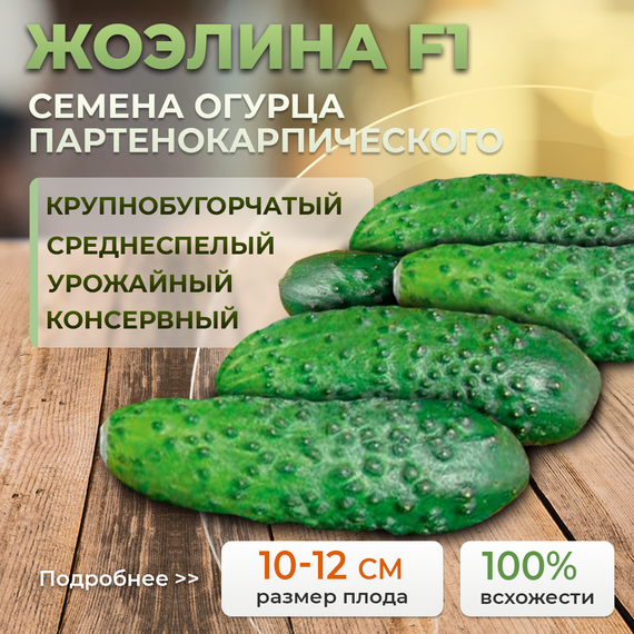 ЖОЭЛИНА F1 семена огурца Nunhems семена
