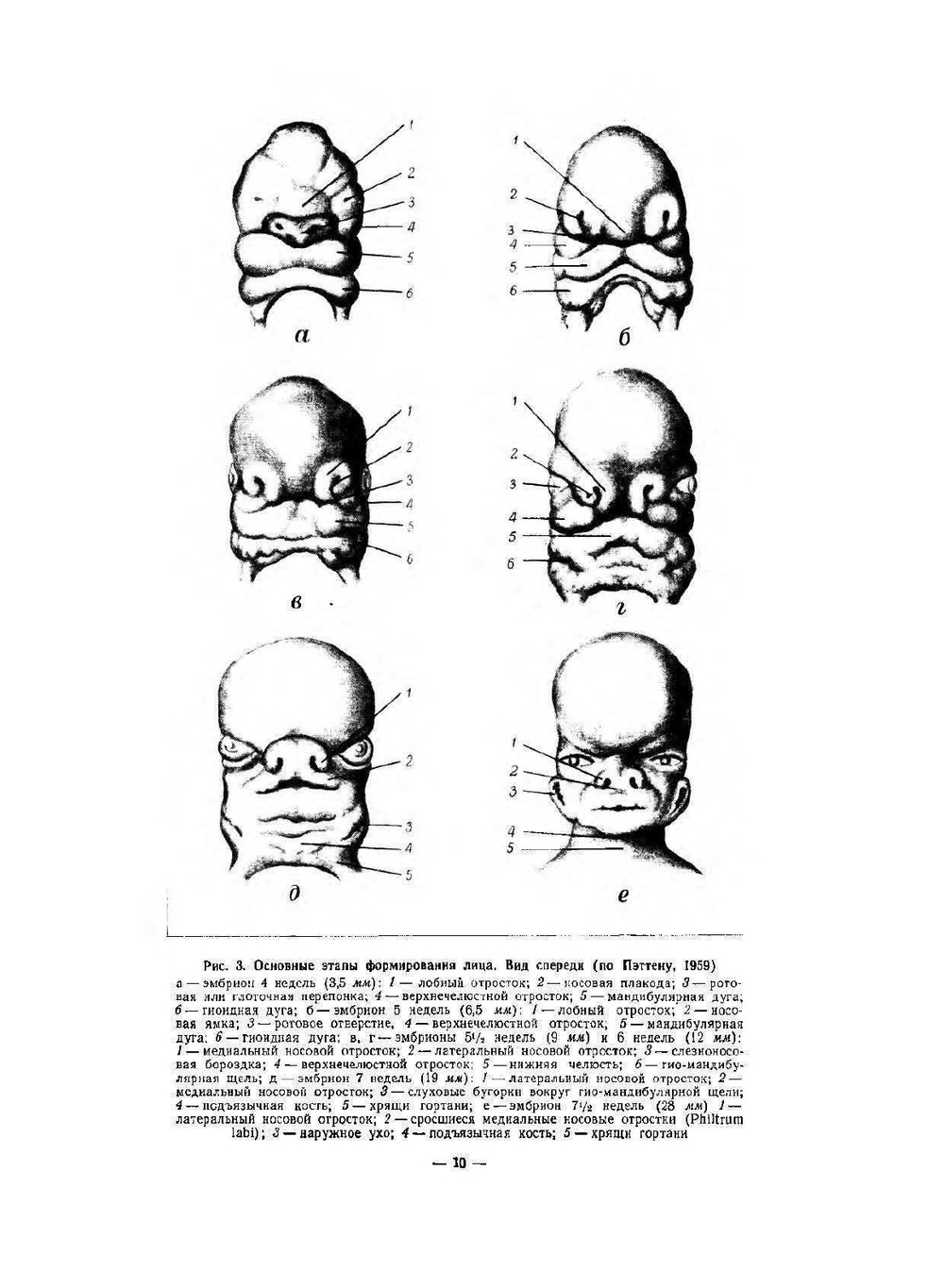 Ортопедическая стоматология. Ортодонтия, травматология, челюстное и лицевое протезирование. Атлас. Том 2 | В.Ю. Курляндский