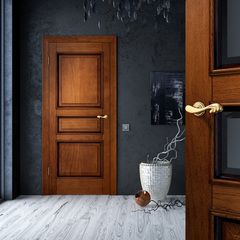 Двери из массива дерева межкомнатные - купить по цене производителя в ...