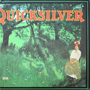 Quicksilver Messenger Service / Shady Grove (LP)