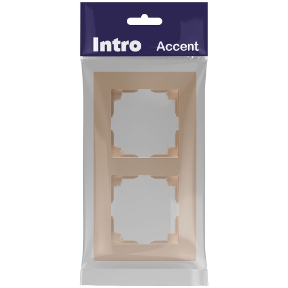 Рамка для розеток и выключателей Intro Accent 6-502-04 на 2 поста, СУ, шампань | Intro