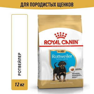 Корм для щенков собак породы ротвейлер, Royal Canin Rottweiler Puppy