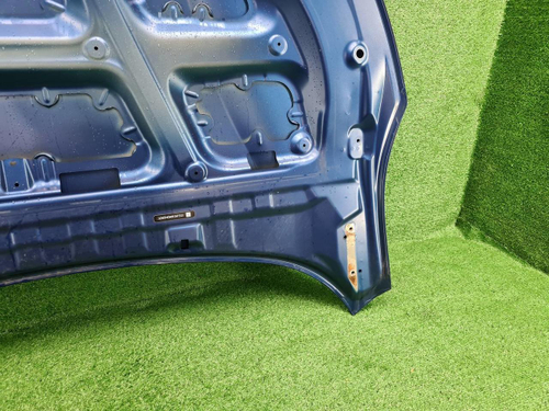 Капот Byd Tang 2 (2021-н.в.)