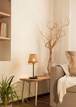 Настольная лампа Eglo TABLEY 43977