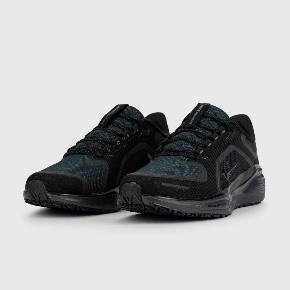 Кроссовки Nike Pegasus 41 Gtx Black Green