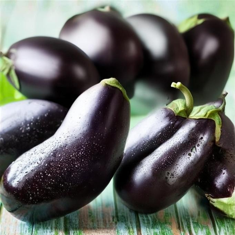 Баклажан Турецкий F1 10шт.