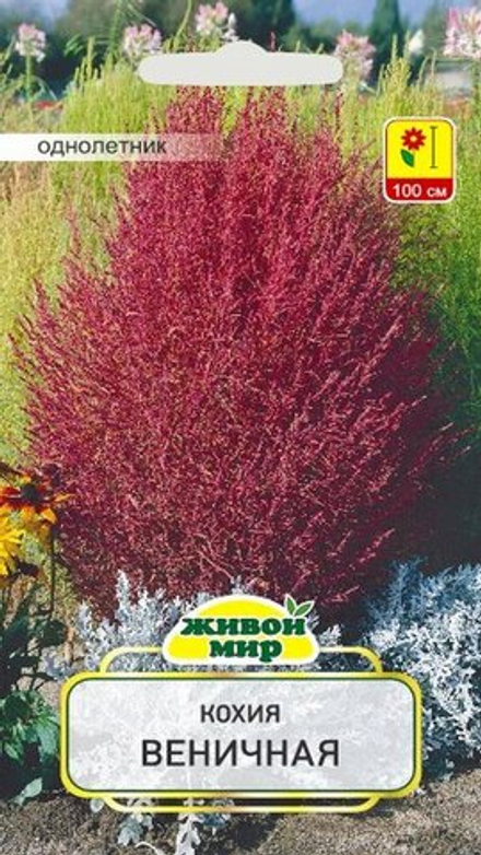 Koxия "ЖМ. Вeничнaя" 1г., Польша.