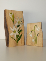 Рисунки на срезах дерева. Мини-панно.