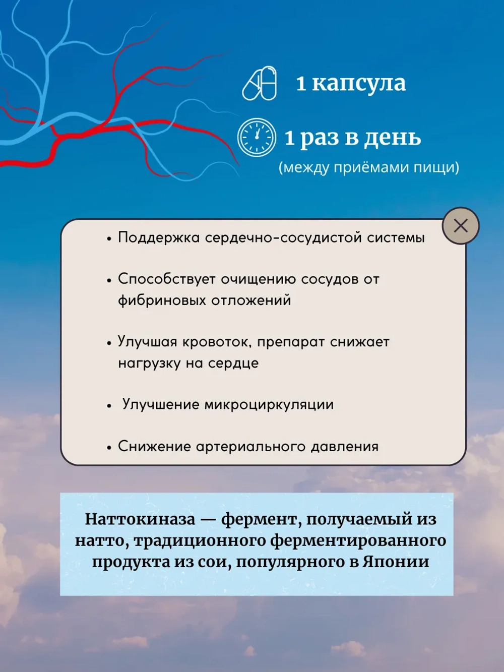 Наттокиназа 2000 FU 90 капсул