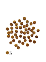 Корм для собак сухой BRIT CARE Mini с индейкой для взрослых cобак мини пород Adult. Healthy Skin&Shiny Coat 1,5кг