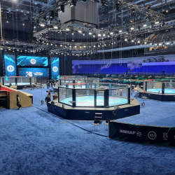 Восьмиугольник турнирный на помосте