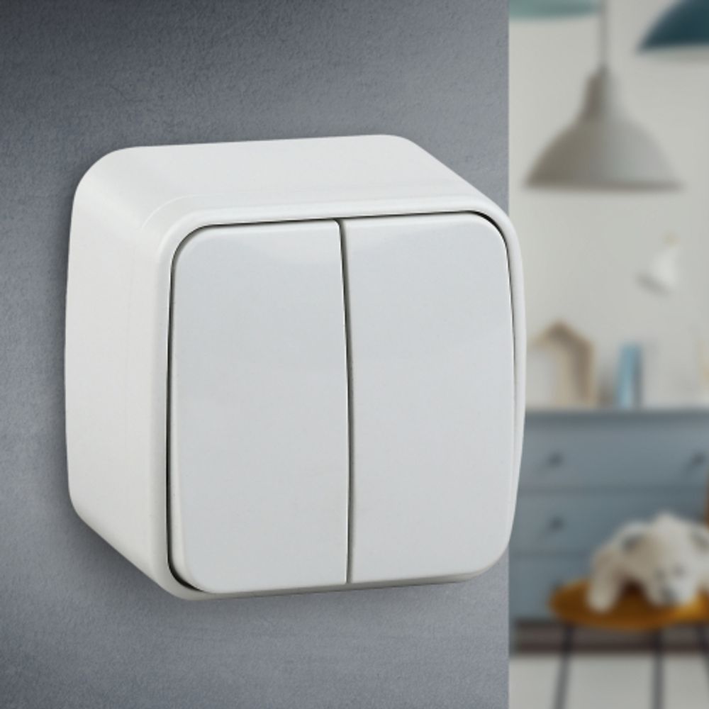 3-104-01 Intro Выключатель двойной, 10А-250В, IP20, ОУ, Polo, белый | Intro Polo