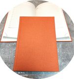 Ежедневник Lediberg DELHI Оранжевый