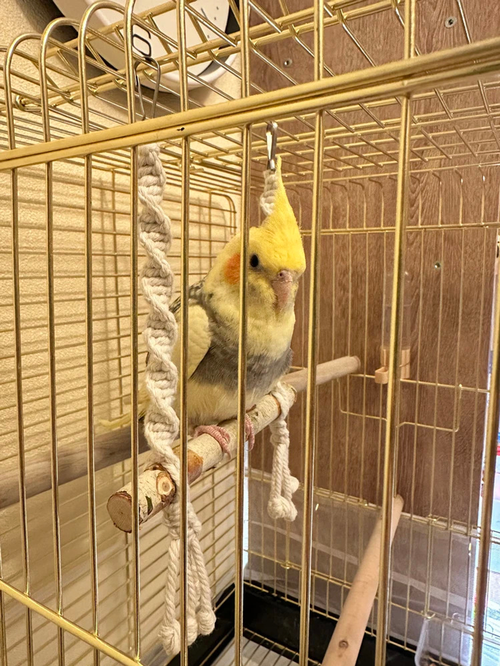 Качели для птиц белые