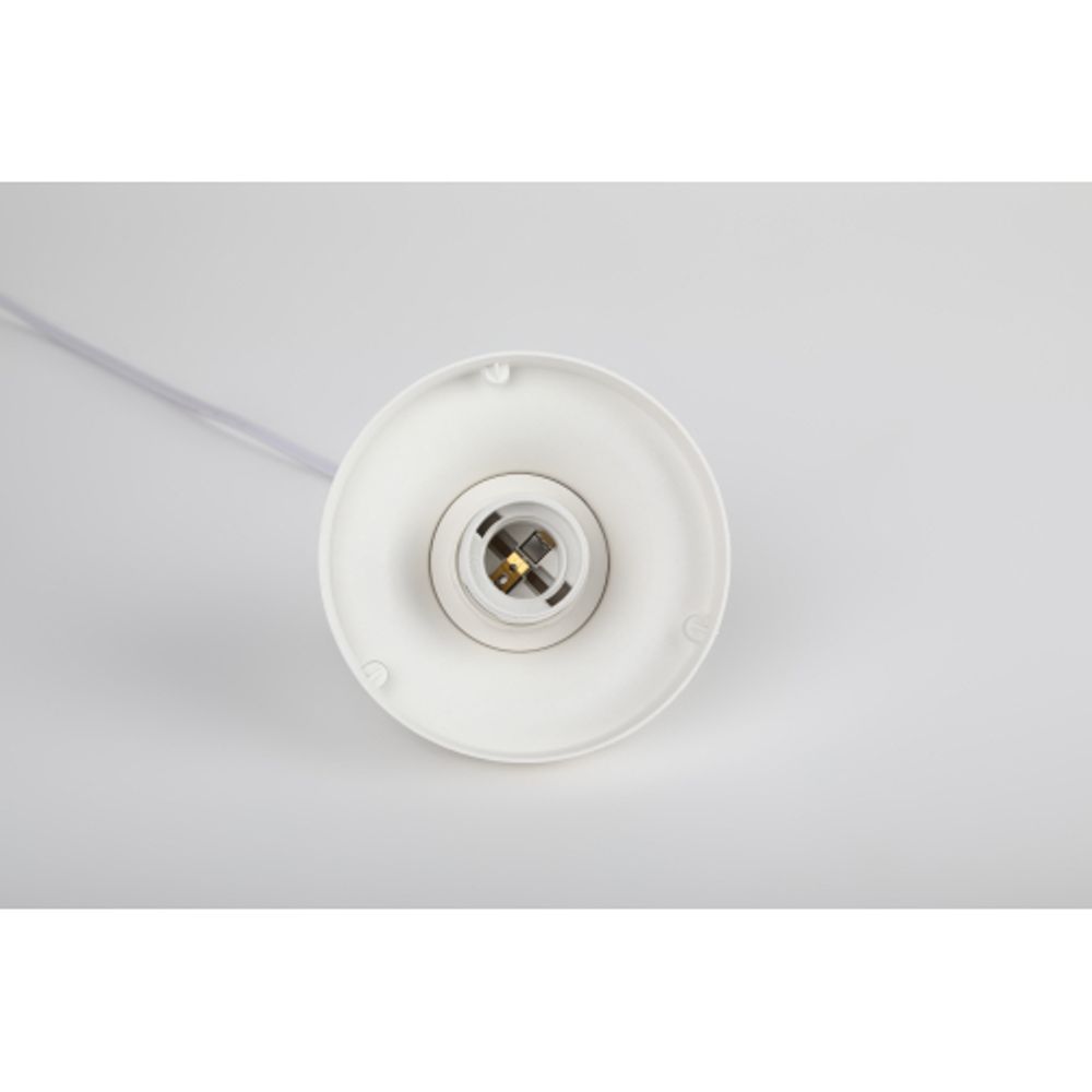 Cветильник потолочный ЭРА НСБ 01-60-251 шар опаловый подвесной на шнуре IP40 Е27 max 60 Вт d250mm | Подвесные светильники