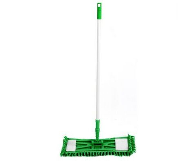 Рыжий кот Швабра