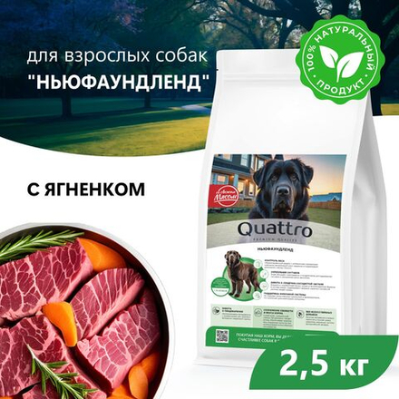 Корм сухой для взрослых собак породы Ньюфаундленд, с ягненком, 2.5 кг, QUATTRO