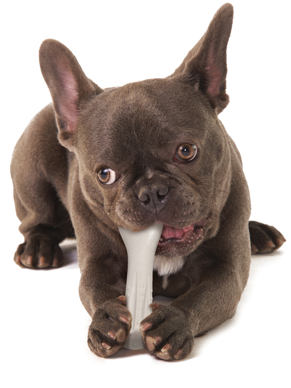 Petstages игрушка для собак Deerhorn, с оленьими рогами 12 см маленькая