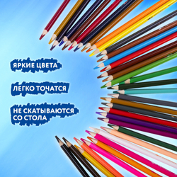 Карандаши цветные акварельные BRAUBERG PREMIUM AQUARELLE 36 цветов в тубе, трёхгранные, 181933