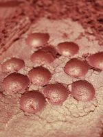 Премиум 8926 Золотой коралловый - перламутровый сухой краситель