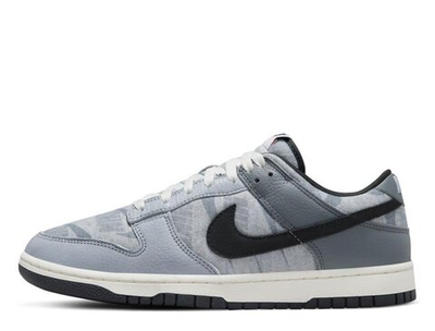 Баскетбольные кроссовки Nike Dunk Low SE Shoes Gray