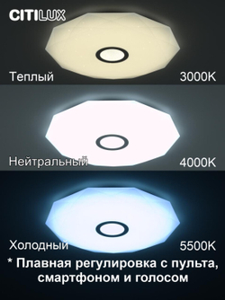 Накладной светильник Citilux CL713A80G