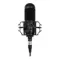 Radiotehnika MCD-01 Black