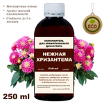 ХРИЗАНТЕМА - Наполнитель для ароматического диффузора