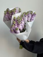 Охапка маттиолы в фиолетовом оттенке 10 шт